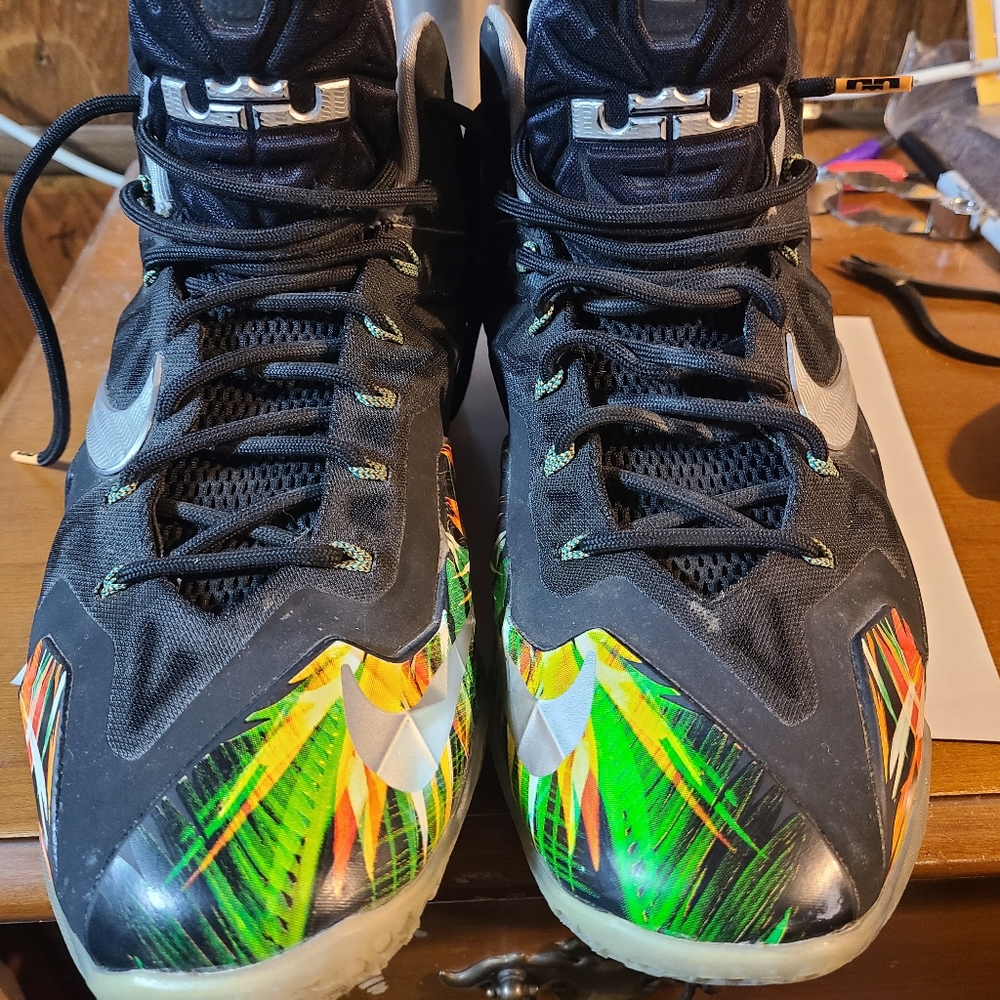 Nike lebron 11 everglades
